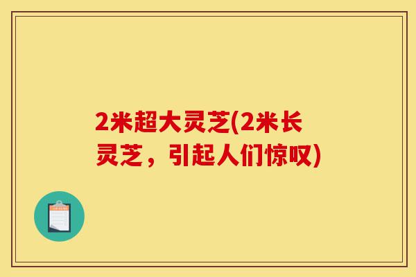 2米超大灵芝(2米长灵芝,引起人们惊叹)-第1张图片-灵芝之家 2米超大灵芝(2米长灵芝,引起人们惊叹)-第1张图片-灵芝之家