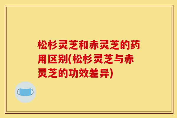 松杉灵芝和赤灵芝的药用区别(松杉灵芝与赤灵芝的功效差异)-第1张图片-灵芝之家 松杉灵芝和赤灵芝的药用区别(松杉灵芝与赤灵芝的功效差异)-第1张图片-灵芝之家
