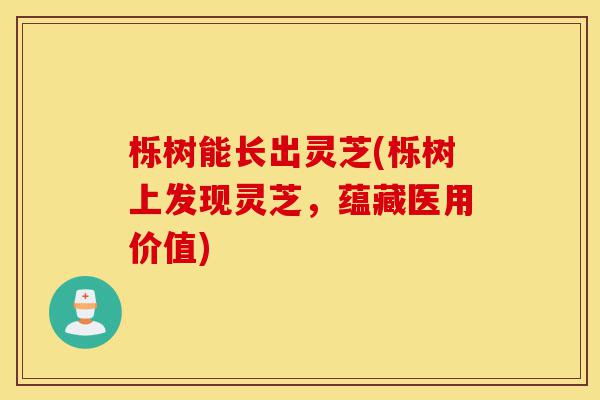 栎树能长出灵芝(栎树上发现灵芝,蕴藏医用价值)-第1张图片-灵芝之家 栎树能长出灵芝(栎树上发现灵芝,蕴藏医用价值)-第1张图片-灵芝之家