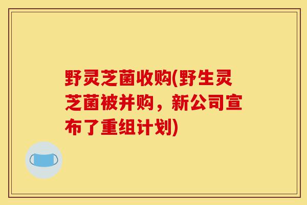 野灵芝菌收购(野生灵芝菌被并购,新公司宣布了重组计划)-第1张图片-灵芝之家 野灵芝菌收购(野生灵芝菌被并购,新公司宣布了重组计划)-第1张图片-灵芝之家