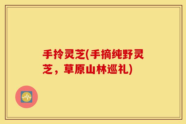 手拎灵芝(手摘纯野灵芝,草原山林巡礼)-第1张图片-灵芝之家 手拎灵芝(手摘纯野灵芝,草原山林巡礼)-第1张图片-灵芝之家