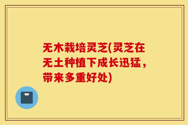 无木栽培灵芝(灵芝在无土种植下成长迅猛,带来多重好处)-第1张图片-灵芝之家 无木栽培灵芝(灵芝在无土种植下成长迅猛,带来多重好处)-第1张图片-灵芝之家