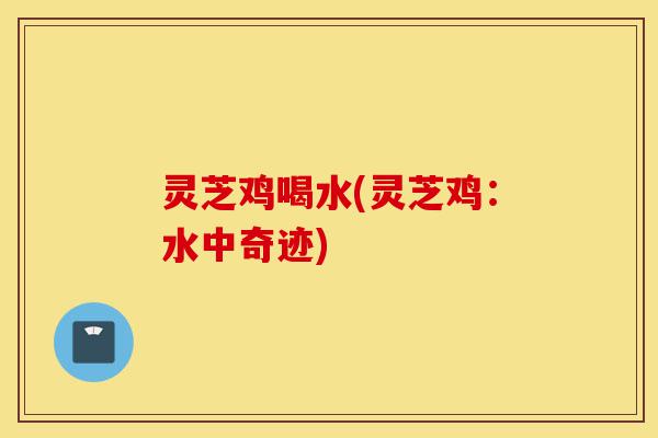 灵芝鸡喝水(灵芝鸡:水中奇迹)-第1张图片-灵芝之家 灵芝鸡喝水(灵芝鸡:水中奇迹)-第1张图片-灵芝之家