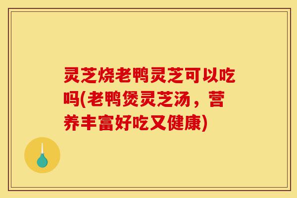 灵芝烧老鸭灵芝可以吃吗(老鸭煲灵芝汤,营养丰富好吃又健康)-第1张图片-灵芝之家 灵芝烧老鸭灵芝可以吃吗(老鸭煲灵芝汤,营养丰富好吃又健康)-第1张图片-灵芝之家