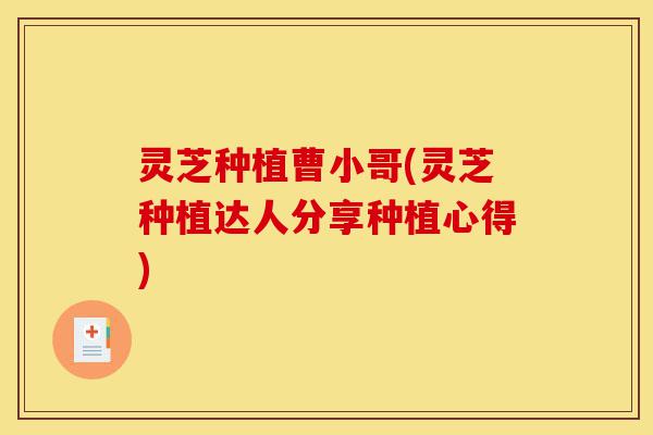 灵芝种植曹小哥(灵芝种植达人分享种植心得)-第1张图片-灵芝之家 灵芝种植曹小哥(灵芝种植达人分享种植心得)-第1张图片-灵芝之家