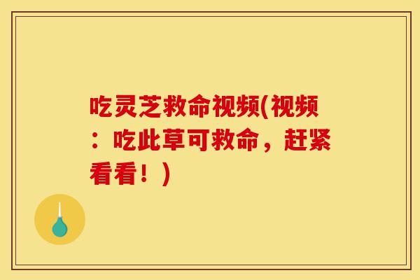 吃灵芝救命视频(视频:吃此草可救命,赶紧看看!)-第1张图片-灵芝之家 吃灵芝救命视频(视频:吃此草可救命,赶紧看看!)-第1张图片-灵芝之家