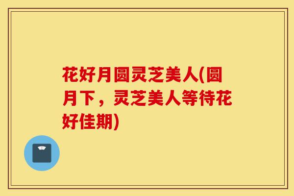 花好月圆灵芝美人(圆月下,灵芝美人等待花好佳期)-第1张图片-灵芝之家 花好月圆灵芝美人(圆月下,灵芝美人等待花好佳期)-第1张图片-灵芝之家