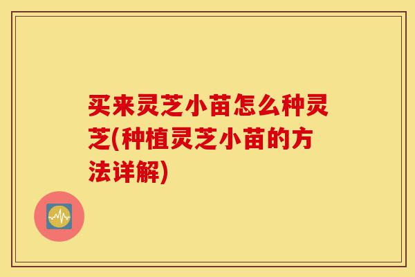 买来灵芝小苗怎么种灵芝(种植灵芝小苗的方法详解)-第1张图片-灵芝之家 买来灵芝小苗怎么种灵芝(种植灵芝小苗的方法详解)-第1张图片-灵芝之家