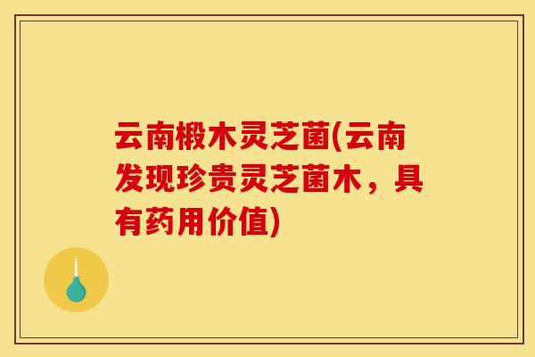 云南椴木灵芝菌(云南发现珍贵灵芝菌木,具有药用价值)-第1张图片-灵芝之家 云南椴木灵芝菌(云南发现珍贵灵芝菌木,具有药用价值)-第1张图片-灵芝之家
