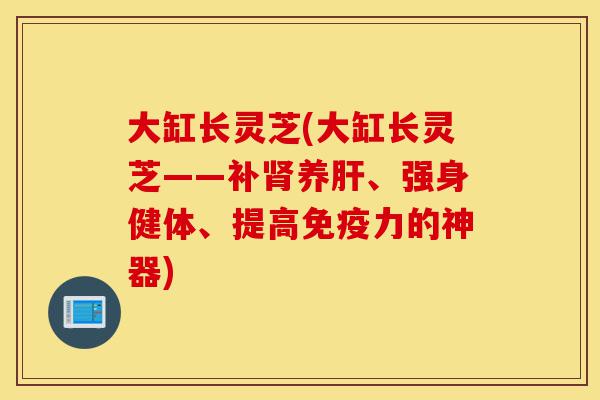 大缸长灵芝(大缸长灵芝——补肾养肝、强身健体、提高免疫力的神器)-第1张图片-灵芝之家 大缸长灵芝(大缸长灵芝——补肾养肝、强身健体、提高免疫力的神器)-第1张图片-灵芝之家