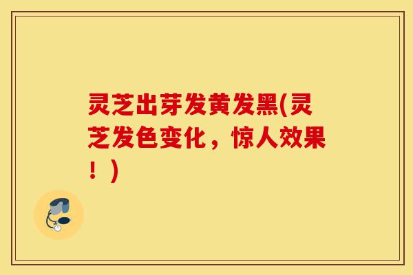 灵芝出芽发黄发黑(灵芝发色变化,惊人效果!)-第1张图片-灵芝之家 灵芝出芽发黄发黑(灵芝发色变化,惊人效果!)-第1张图片-灵芝之家