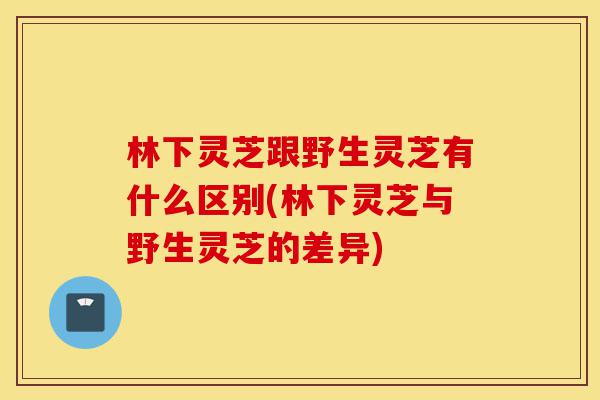 林下灵芝跟野生灵芝有什么区别(林下灵芝与野生灵芝的差异)-第1张图片-灵芝之家 林下灵芝跟野生灵芝有什么区别(林下灵芝与野生灵芝的差异)-第1张图片-灵芝之家