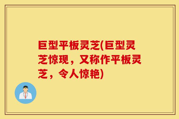 巨型平板灵芝(巨型灵芝惊现,又称作平板灵芝,令人惊艳)-第1张图片-灵芝之家 巨型平板灵芝(巨型灵芝惊现,又称作平板灵芝,令人惊艳)-第1张图片-灵芝之家