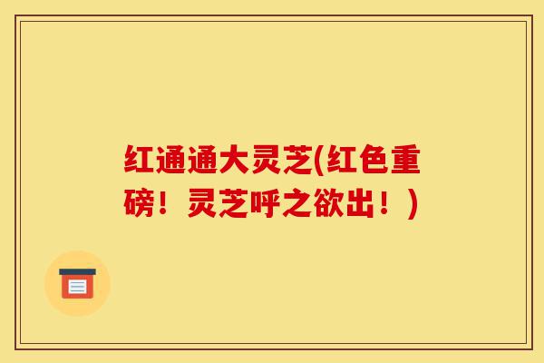 红通通大灵芝(红色重磅!灵芝呼之欲出!)-第1张图片-灵芝之家 红通通大灵芝(红色重磅!灵芝呼之欲出!)-第1张图片-灵芝之家