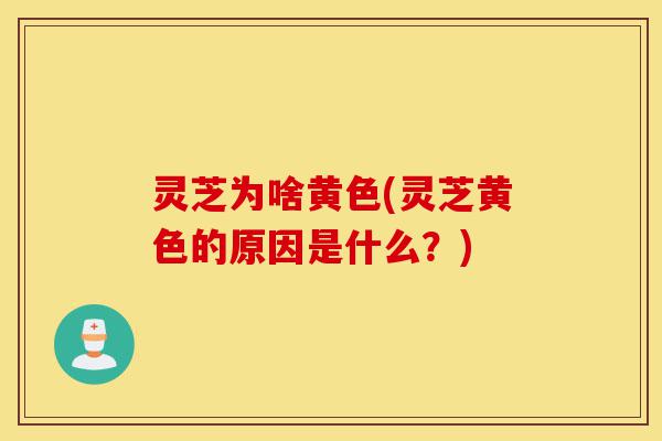 灵芝为啥黄色(灵芝黄色的原因是什么?)-第1张图片-灵芝之家 灵芝为啥黄色(灵芝黄色的原因是什么?)-第1张图片-灵芝之家
