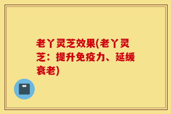 老丫灵芝效果(老丫灵芝:提升免疫力、延缓衰老)-第1张图片-灵芝之家 老丫灵芝效果(老丫灵芝:提升免疫力、延缓衰老)-第1张图片-灵芝之家