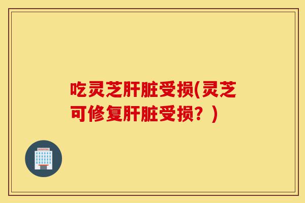 吃灵芝肝脏受损(灵芝可修复肝脏受损?)-第1张图片-灵芝之家 吃灵芝肝脏受损(灵芝可修复肝脏受损?)-第1张图片-灵芝之家
