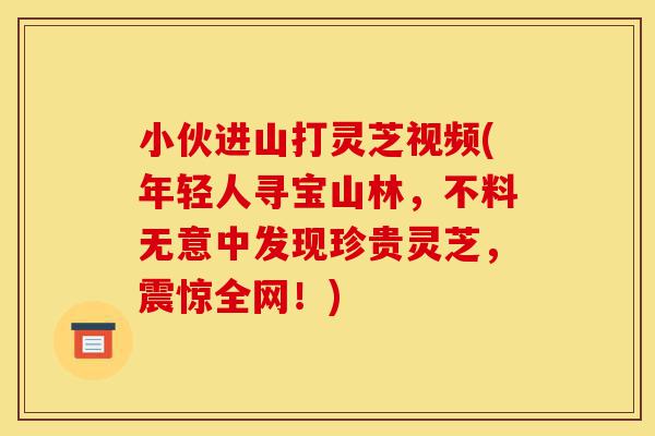 小伙进山打灵芝视频(年轻人寻宝山林,不料无意中发现珍贵灵芝,震惊全网!)-第1张图片-灵芝之家 小伙进山打灵芝视频(年轻人寻宝山林,不料无意中发现珍贵灵芝,震惊全网!)-第1张图片-灵芝之家