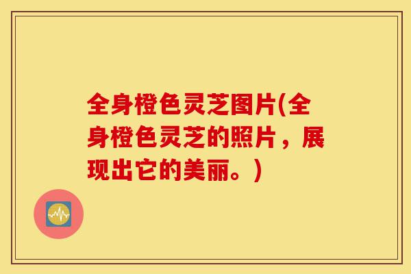 全身橙色灵芝图片(全身橙色灵芝的照片,展现出它的美丽。)-第1张图片-灵芝之家 全身橙色灵芝图片(全身橙色灵芝的照片,展现出它的美丽。)-第1张图片-灵芝之家