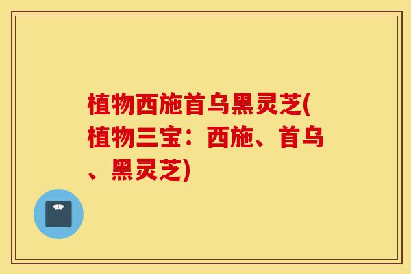 植物西施首乌黑灵芝(植物三宝:西施、首乌、黑灵芝)-第1张图片-灵芝之家 植物西施首乌黑灵芝(植物三宝:西施、首乌、黑灵芝)-第1张图片-灵芝之家