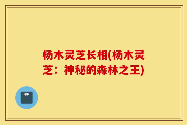 杨木灵芝长相(杨木灵芝:神秘的森林之王)-第1张图片-灵芝之家 杨木灵芝长相(杨木灵芝:神秘的森林之王)-第1张图片-灵芝之家