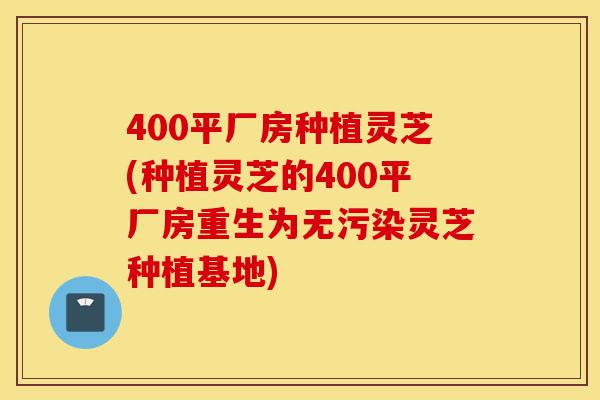 400平厂房种植灵芝(种植灵芝的400平厂房重生为无污染灵芝种植基地)-第1张图片-灵芝之家 400平厂房种植灵芝(种植灵芝的400平厂房重生为无污染灵芝种植基地)-第1张图片-灵芝之家
