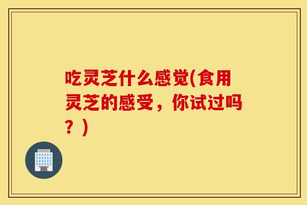 吃灵芝什么感觉(食用灵芝的感受，你试过吗？)-第1张图片-灵芝之家