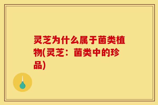 灵芝为什么属于菌类植物(灵芝:菌类中的珍品)-第1张图片-灵芝之家 灵芝为什么属于菌类植物(灵芝:菌类中的珍品)-第1张图片-灵芝之家