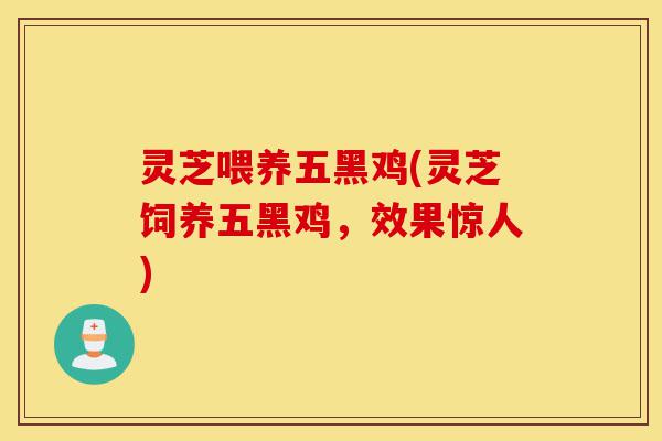 灵芝喂养五黑鸡(灵芝饲养五黑鸡,效果惊人)-第1张图片-灵芝之家 灵芝喂养五黑鸡(灵芝饲养五黑鸡,效果惊人)-第1张图片-灵芝之家