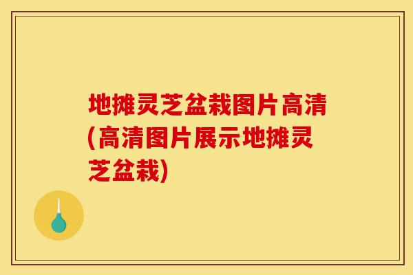 地摊灵芝盆栽图片高清(高清图片展示地摊灵芝盆栽)-第1张图片-灵芝之家 地摊灵芝盆栽图片高清(高清图片展示地摊灵芝盆栽)-第1张图片-灵芝之家
