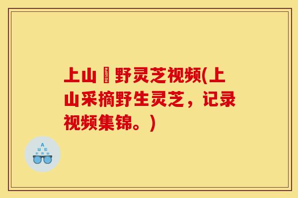 上山釆野灵芝视频(上山采摘野生灵芝,记录视频集锦。)-第1张图片-灵芝之家 上山釆野灵芝视频(上山采摘野生灵芝,记录视频集锦。)-第1张图片-灵芝之家