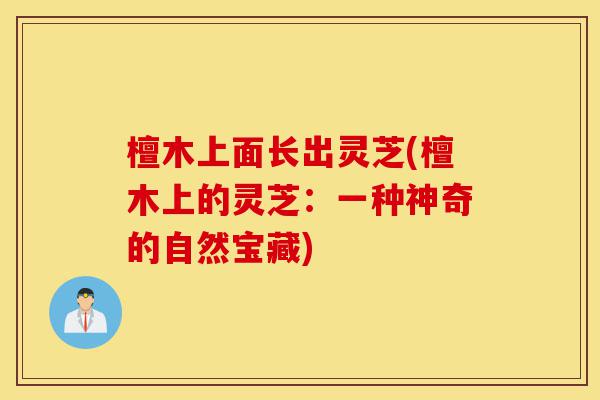 檀木上面长出灵芝(檀木上的灵芝:一种神奇的自然宝藏)-第1张图片-灵芝之家 檀木上面长出灵芝(檀木上的灵芝:一种神奇的自然宝藏)-第1张图片-灵芝之家