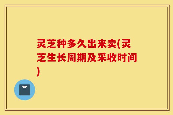 灵芝种多久出来卖(灵芝生长周期及采收时间)-第1张图片-灵芝之家 灵芝种多久出来卖(灵芝生长周期及采收时间)-第1张图片-灵芝之家