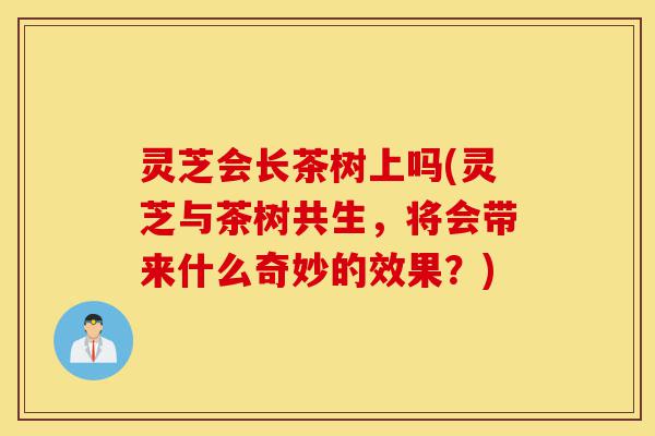 灵芝会长茶树上吗(灵芝与茶树共生,将会带来什么奇妙的效果?)-第1张图片-灵芝之家 灵芝会长茶树上吗(灵芝与茶树共生,将会带来什么奇妙的效果?)-第1张图片-灵芝之家