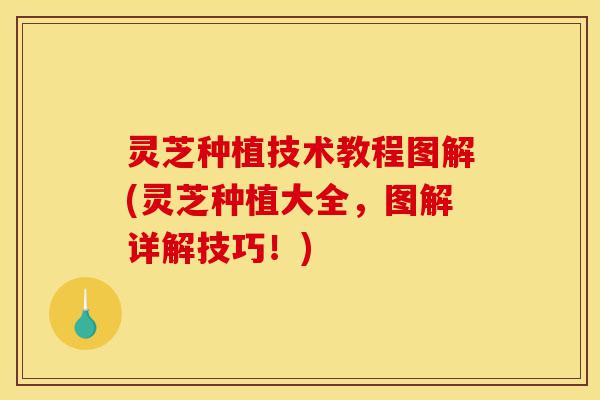 灵芝种植技术教程图解(灵芝种植大全,图解详解技巧!)-第1张图片-灵芝之家 灵芝种植技术教程图解(灵芝种植大全,图解详解技巧!)-第1张图片-灵芝之家