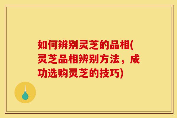 如何辨别灵芝的品相(灵芝品相辨别方法,成功选购灵芝的技巧)-第1张图片-灵芝之家 如何辨别灵芝的品相(灵芝品相辨别方法,成功选购灵芝的技巧)-第1张图片-灵芝之家