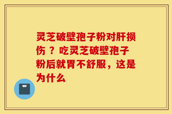 灵芝破壁孢子粉对肝损伤 ？吃灵芝破壁孢子粉后就胃不舒服，这是为什么-第1张图片-灵芝之家