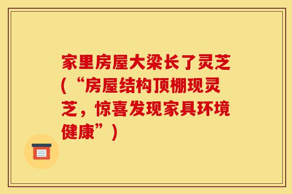 家里房屋大梁长了灵芝(“房屋结构顶棚现灵芝,惊喜发现家具环境健康”)-第1张图片-灵芝之家 家里房屋大梁长了灵芝(“房屋结构顶棚现灵芝,惊喜发现家具环境健康”)-第1张图片-灵芝之家