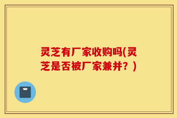 灵芝有厂家收购吗(灵芝是否被厂家兼并？)-第1张图片-灵芝之家