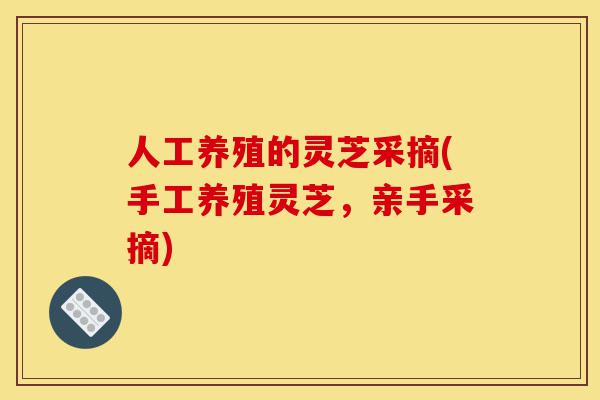 人工养殖的灵芝采摘(手工养殖灵芝,亲手采摘)-第1张图片-灵芝之家 人工养殖的灵芝采摘(手工养殖灵芝,亲手采摘)-第1张图片-灵芝之家
