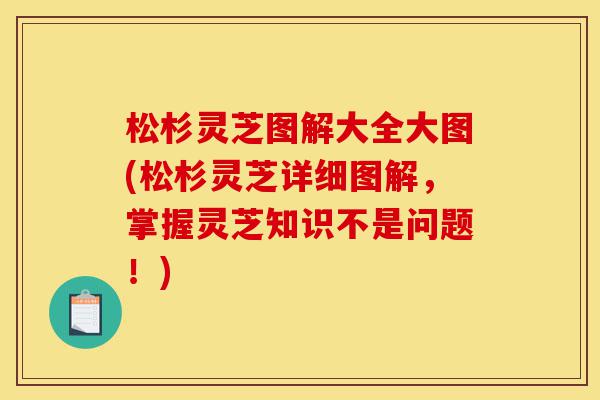 松杉灵芝图解大全大图(松杉灵芝详细图解,掌握灵芝知识不是问题!)-第1张图片-灵芝之家 松杉灵芝图解大全大图(松杉灵芝详细图解,掌握灵芝知识不是问题!)-第1张图片-灵芝之家