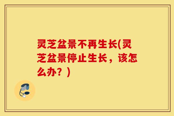 灵芝盆景不再生长(灵芝盆景停止生长,该怎么办?)-第1张图片-灵芝之家 灵芝盆景不再生长(灵芝盆景停止生长,该怎么办?)-第1张图片-灵芝之家