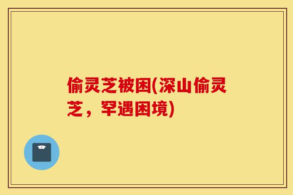 偷灵芝被困(深山偷灵芝,罕遇困境)-第1张图片-灵芝之家 偷灵芝被困(深山偷灵芝,罕遇困境)-第1张图片-灵芝之家