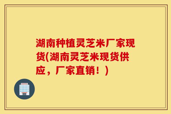 湖南种植灵芝米厂家现货(湖南灵芝米现货供应,厂家直销!)-第1张图片-灵芝之家 湖南种植灵芝米厂家现货(湖南灵芝米现货供应,厂家直销!)-第1张图片-灵芝之家
