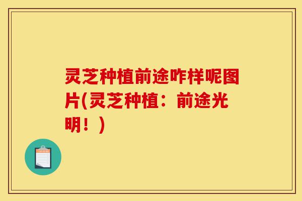 灵芝种植前途咋样呢图片(灵芝种植:前途光明!)-第1张图片-灵芝之家 灵芝种植前途咋样呢图片(灵芝种植:前途光明!)-第1张图片-灵芝之家
