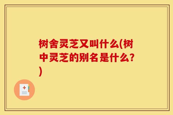 树舍灵芝又叫什么(树中灵芝的别名是什么？)-第1张图片-灵芝之家