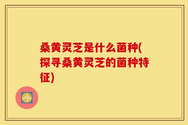 桑黄灵芝是什么菌种(探寻桑黄灵芝的菌种特征)-第1张图片-灵芝之家 桑黄灵芝是什么菌种(探寻桑黄灵芝的菌种特征)-第1张图片-灵芝之家