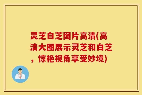 灵芝白芝图片高清(高清大图展示灵芝和白芝,惊艳视角享受妙境)-第1张图片-灵芝之家 灵芝白芝图片高清(高清大图展示灵芝和白芝,惊艳视角享受妙境)-第1张图片-灵芝之家