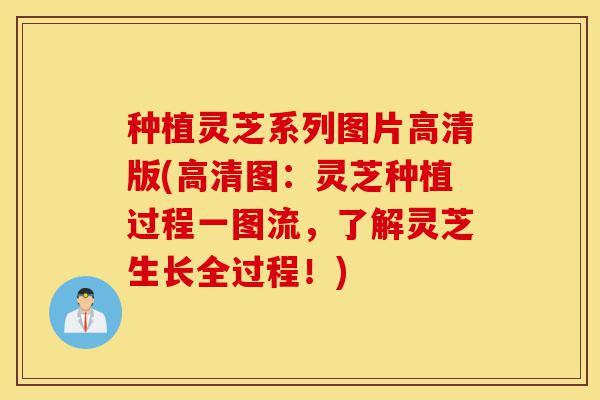 种植灵芝系列图片高清版(高清图:灵芝种植过程一图流,了解灵芝生长全过程!)-第1张图片-灵芝之家 种植灵芝系列图片高清版(高清图:灵芝种植过程一图流,了解灵芝生长全过程!)-第1张图片-灵芝之家
