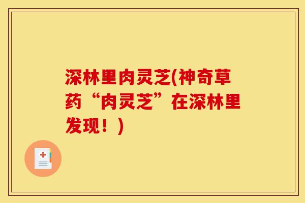 深林里肉灵芝(神奇草药“肉灵芝”在深林里发现!)-第1张图片-灵芝之家 深林里肉灵芝(神奇草药“肉灵芝”在深林里发现!)-第1张图片-灵芝之家